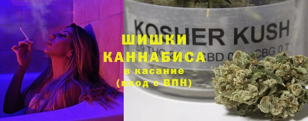дмт Пестово