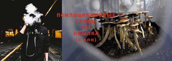 дмт Пестово