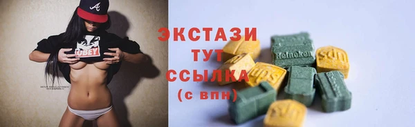 дмт Пестово