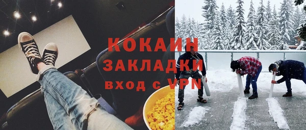 дмт Пестово