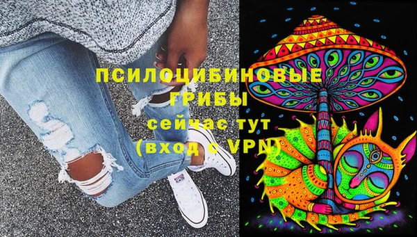 соль курить ск Переславль-Залесский
