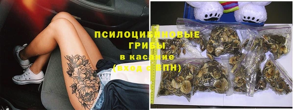 соль курить ск Переславль-Залесский