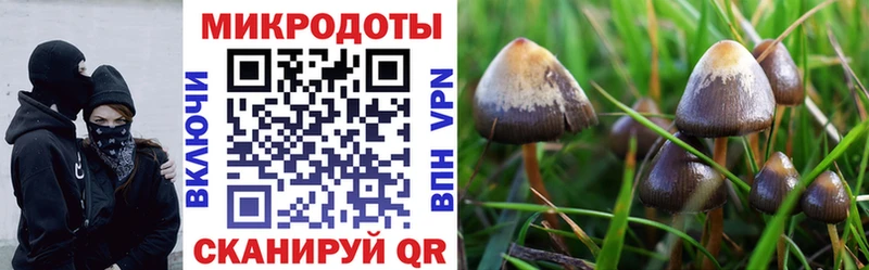 Псилоцибиновые грибы GOLDEN TEACHER Северобайкальск
